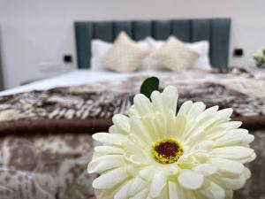 VVIP ADDRESS 12 Jagatpura - Award Winning 2026 Top Rated Luxury Studio in Jaipur Limited Availability Book Now