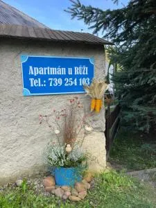 Apartmán U Růži - Rodowitz