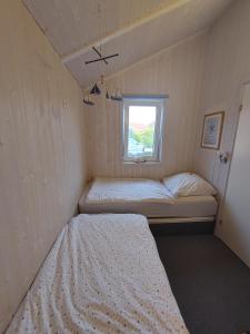 Neu-Seeland 30