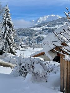Chalet a Megeve-Vauvray - Grands Appartements , vue Mont Blanc : photos des chambres