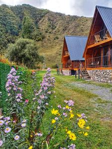 Panorama cottages Kazbegi
