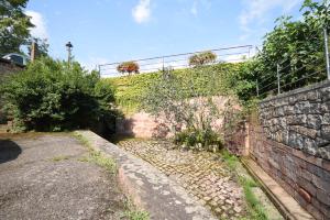 au pied du Haut Koenigsbourg 1