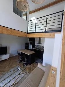 T3 le caoulet, 3 pers, 3lits, wifi, climatisation - 蓬迪卡斯