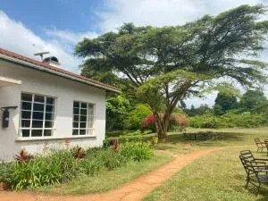 Marangu Hotel - Kirongo