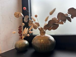 Hotel - B&B Elementum