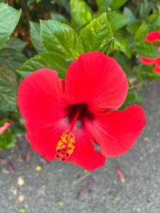 Un luogo sospeso nel tempo img6