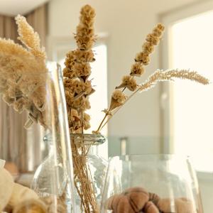 Haroupia Hillside Villa