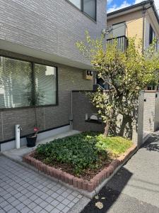 TOKYO SENKAWA Share House