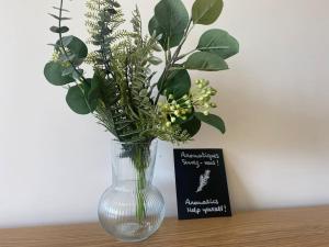 Appartements Au Bonheur des Roses, parking, terrasse & jardin : photos des chambres