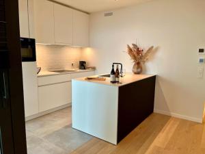 Deluxe Appartement La Mer - Oosteroever Oostende