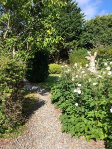 Maisons de vacances Jasmin Cottage with seasonal Swimming Pool : photos des chambres