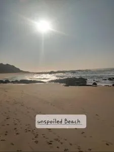 Dolfin view - Glenmore Beach