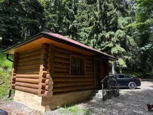 Chata LESNÍ - "Lesni Udoli" - Osvinov