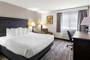 King Room - Pet Friendly/Mobility Accessible room in Best Western - Saluki Inn