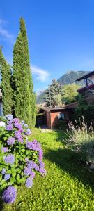 Apartamento con terraza
