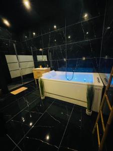 Appartements Jungle Love Room de l Hermitage : photos des chambres