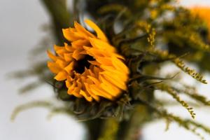 The Sunset Apartment - Margate Beach - By Goldex Coastal Breaks