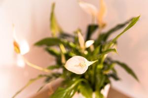 The Seaview Apartment - Margate Beach - By Goldex Coastal Breaks