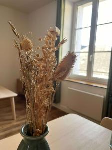 Appartements LE FRANCUEILLOIS - T3 NEUF : photos des chambres