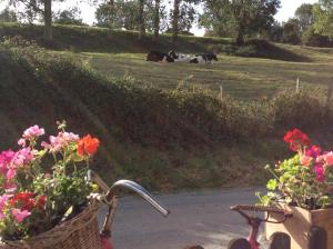 Maison de tante Alice