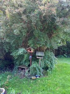 Skovbrynet 2 The place for you