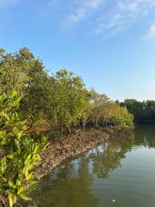 Igid Puttot Guest Cabins