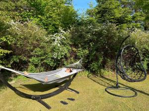 Skovbrynet 2 The place for you