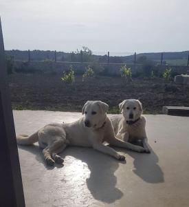 Sunset No 23 Second Unit Colorful and Cozy