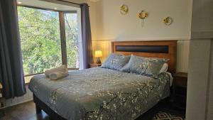 Oceana Suites Parque Pucon