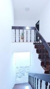 Moo Deng house Near old city,Street food Changpuek Market