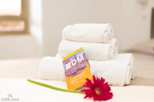 The Little Big House