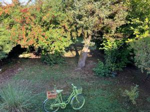 B&B / Chambres d'hotes Villa Medicis : Chambre Double - Vue sur Jardin