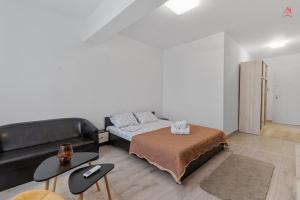 Garsoniera DreamHouse Titan - High Class