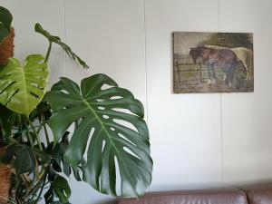 Vakantiewoning t Kusterke