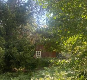 Ferienwohnung auf dem Bauernhof