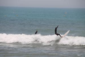 aziz house of surfing