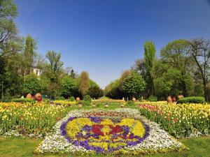 Studio Cismigiu Park