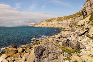 Fishermans Cottage - Chesil Beach
