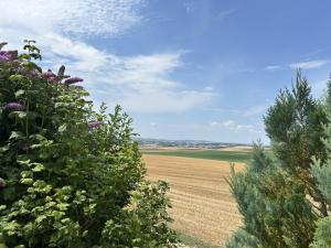 Maisons de vacances Happy : photos des chambres