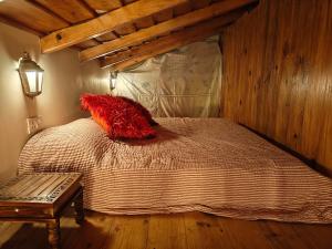 Woody Trails - Astronomy, Graphology, Family, Kainchi Dham