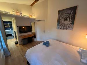 Appart'hotels Saint Jacques Versailles : photos des chambres