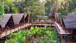 Longoza Ecolodge - Andasibe