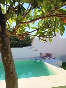 Tribo da Praia - Ribeira do Salto