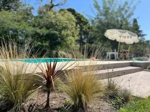 El Galpón de Paraíso - P. Millán