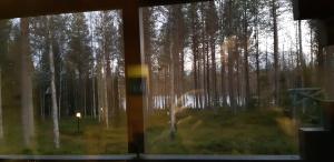 Pusikko - Cozy Lake Villa - Ice Swimming - Sauna - Fireplace - Barbeque Shed