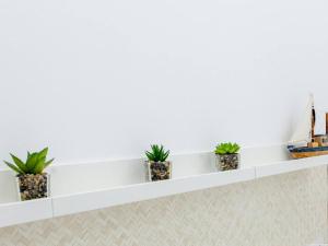 Estilo y Confort, Marina Primavera 88