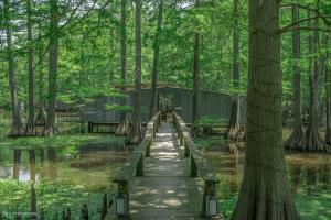Emerald Cove Lakeside Cabin Paddle, Relax,Unwind