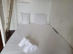 Backpacker room with an Eiffel Tower view near St Germain des Prés