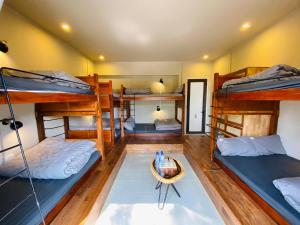 Phòng Ngủ Tập Thể 8 Giường Dành Cho Nữ (8-Bed Female Dormitory Room)