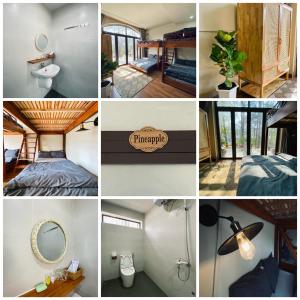 Phòng ngủ Tập thể Nữ 4 giường (4-Bed Female Dormitory Room)